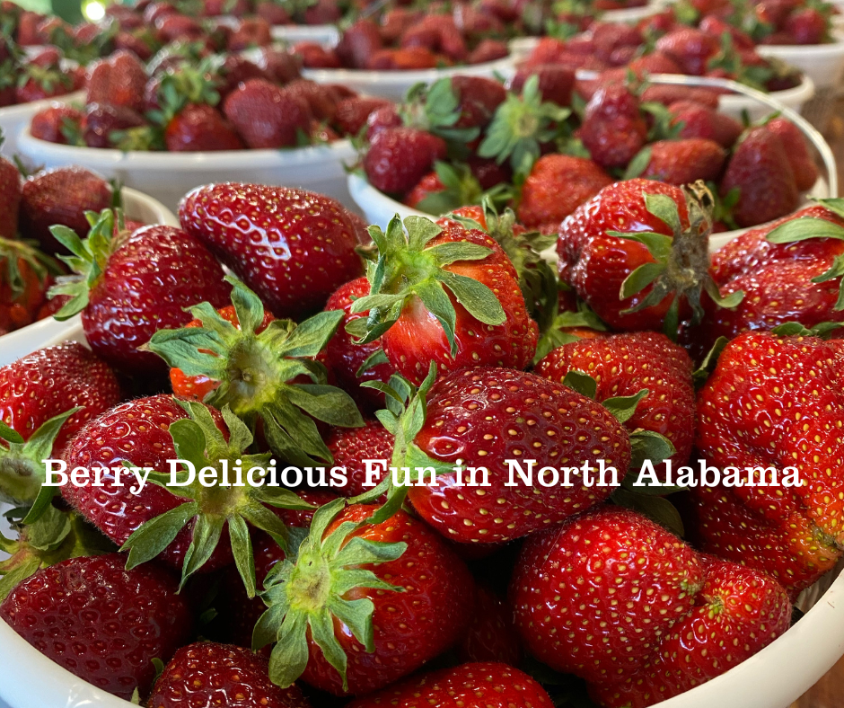 Berry Delicious Fun in North Alabama