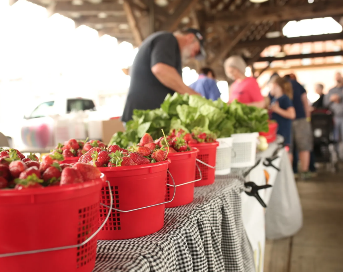 Strawberry Festival to Fill Downtown Cullman May 7