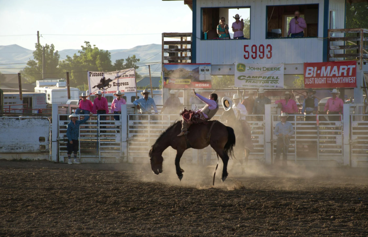 Sandstone Point Rodeo 2024 Centre’s Rodeo Brings Action and Family Fun June 12-13