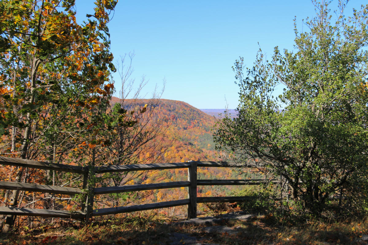 Outdoor Adventures Hiking in Albany NY