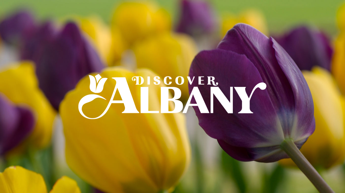 Albany Public Library