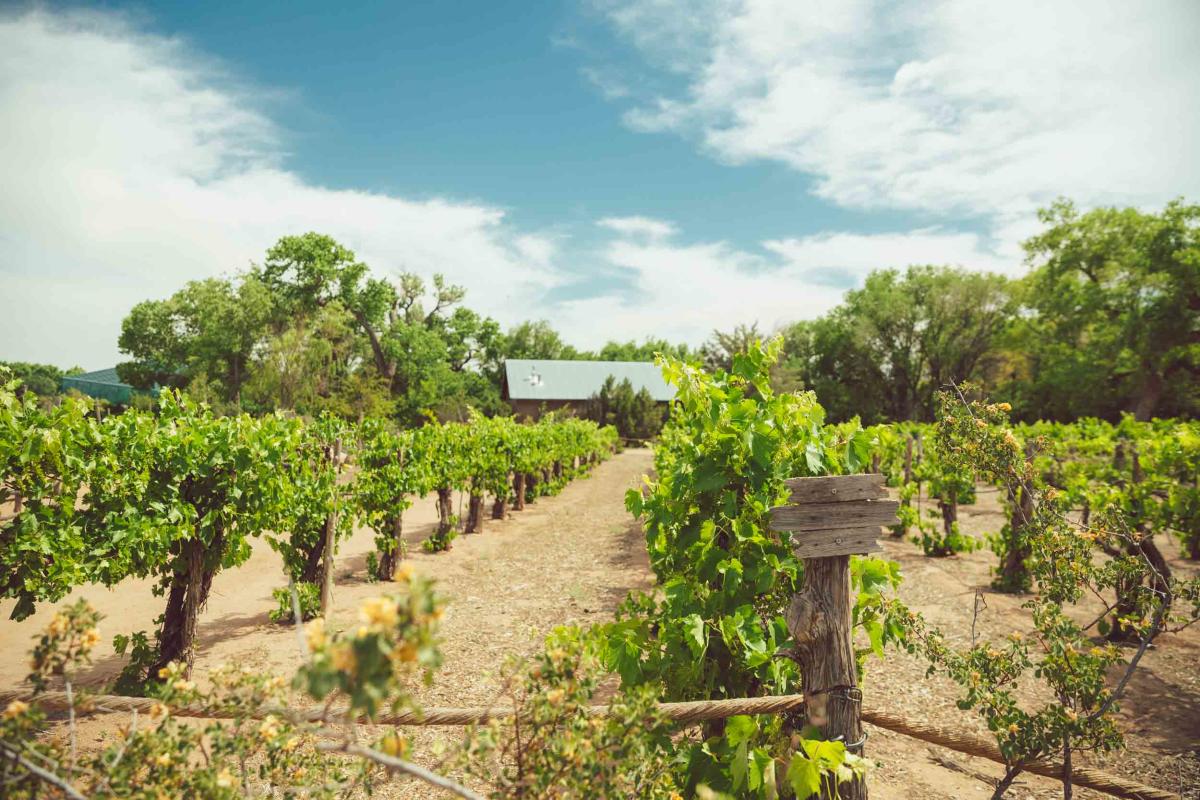 August Industry Insider Visit Albuquerque