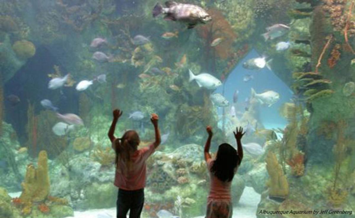 Things to Do with Kids in Albuquerque Visit Albuquerque