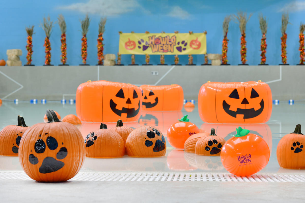 HowlOWeen Returns to Great Wolf Lodge with More Fabooless Fun for the Whole Family