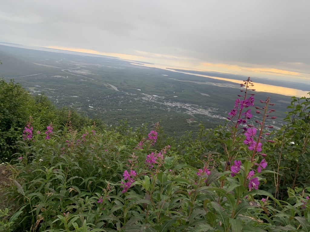 anchorage Mount Baldy Loop Visit Anchorage