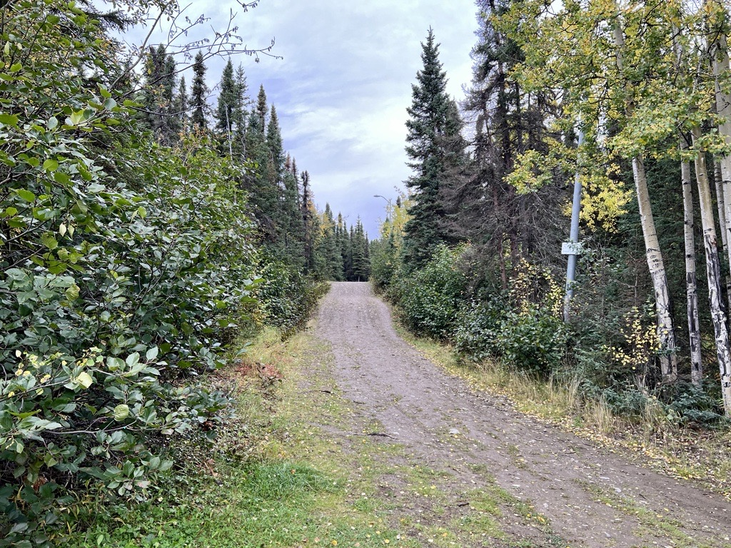 anchorage Hillside Besh Lighted Loop Trail Visit Anchorage