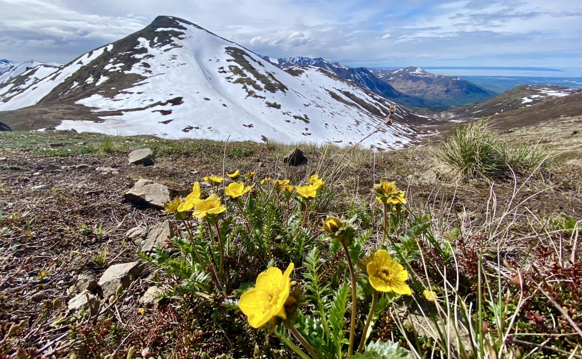 Anchorage Announces Round 3 of Tourism Grant Program