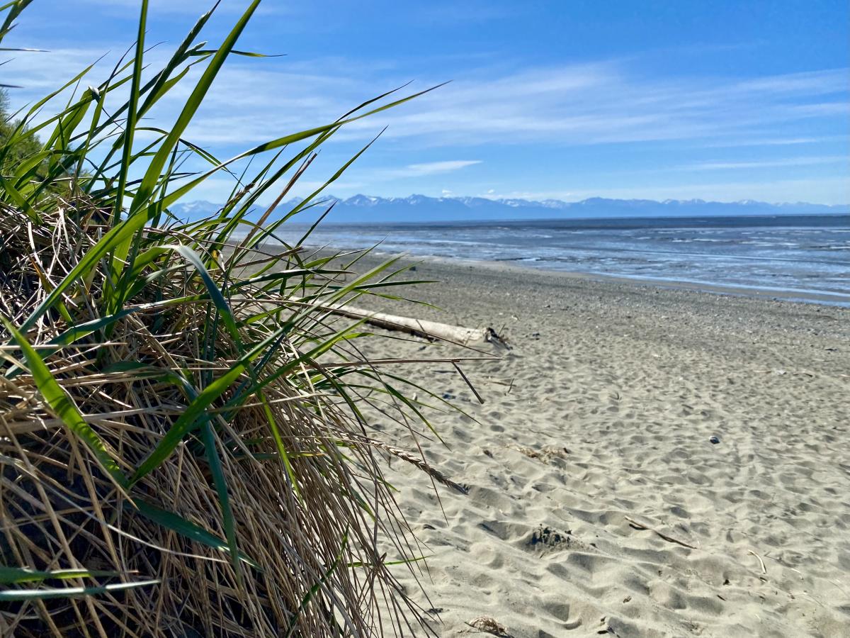 A Guide to Anchorage’s Best Beaches Visit Anchorage