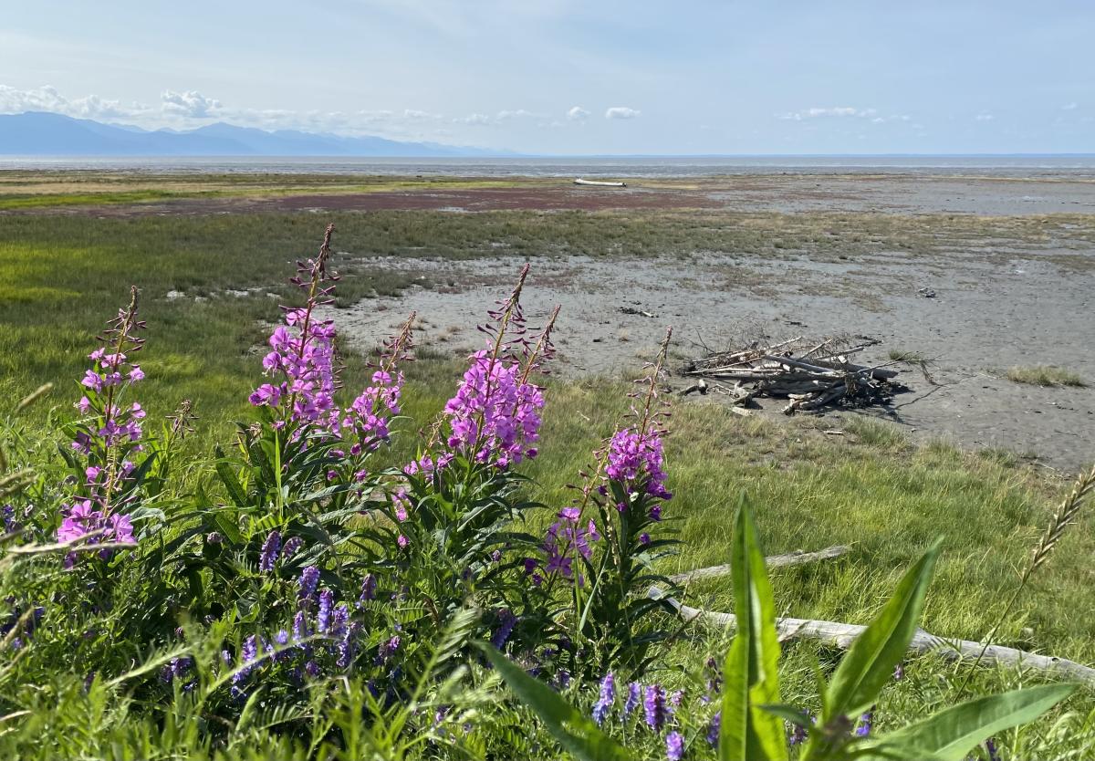 Sand Lake & Bayshore Neighborhoods of Anchorage