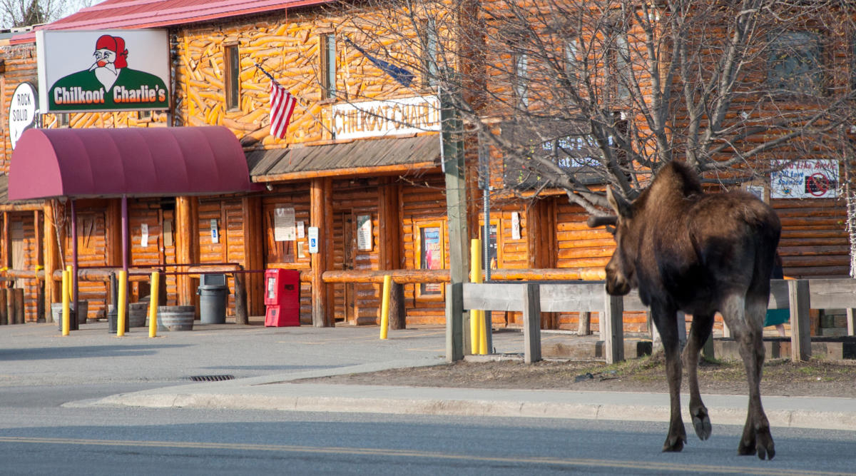 Spenard