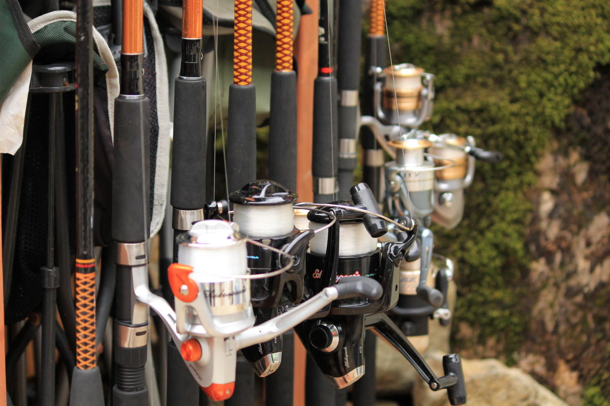Where Can I Fish In Anchorage Visit