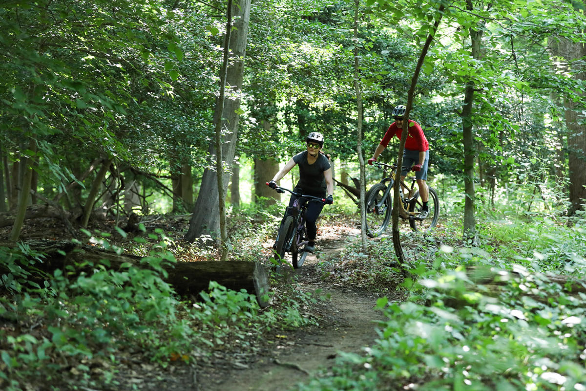 Exploring Bacon Ridge Trail in Anne Arundel County