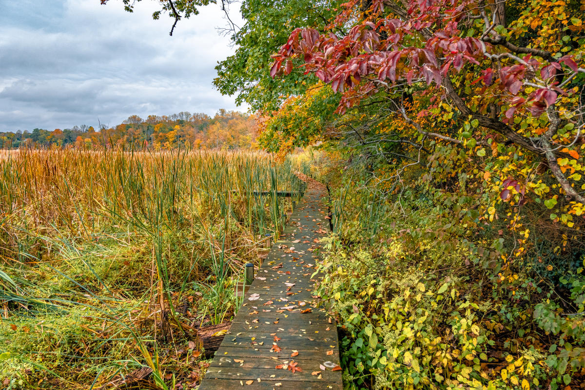 First Day Hikes offered by Maryland State Parks and AACo County Parks