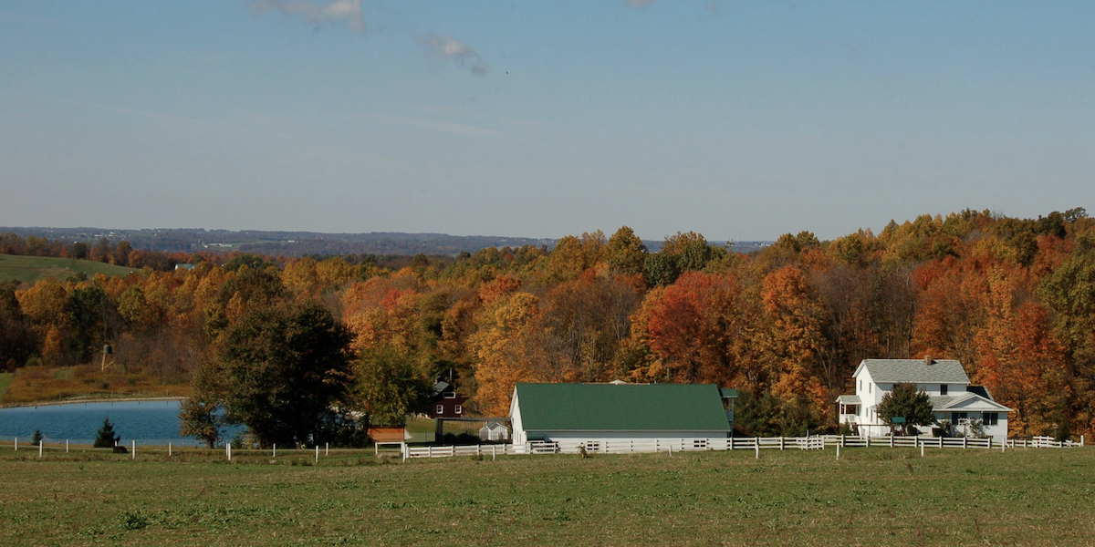 Follow Your Food Fantasies to the Annapolis Amish Market