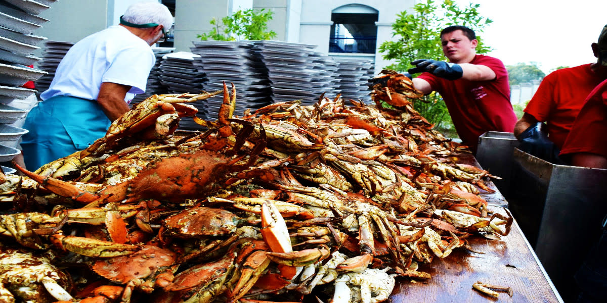 Recap Annapolis’ Crabfastic Feast