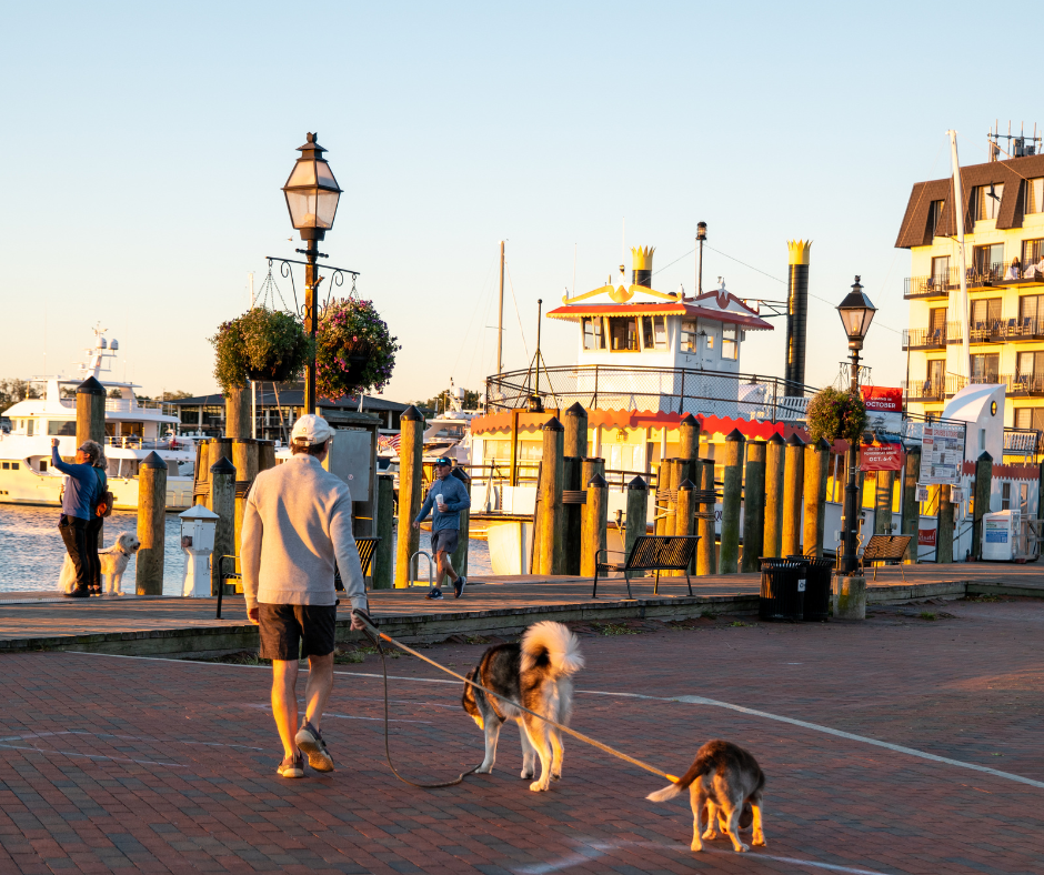 PetFriendly Hotels in Annapolis DogFriendly Businesses