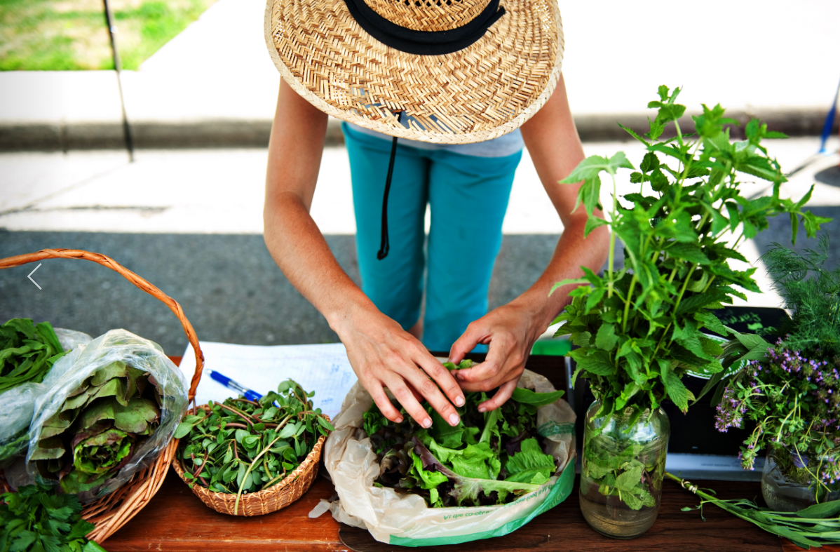 Cambria Farmers Market. Farmers Market. Farmers Market in Eau Claire. Grow with Anna.