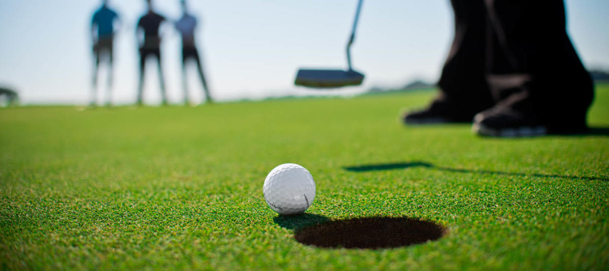 Beginner Friendly Golf Courses in Ann Arbor, Michigan