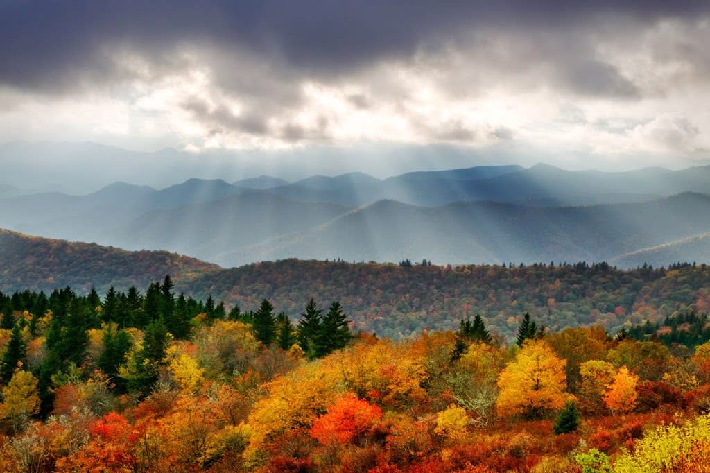 5 Things You Need to Know About Fall in Asheville