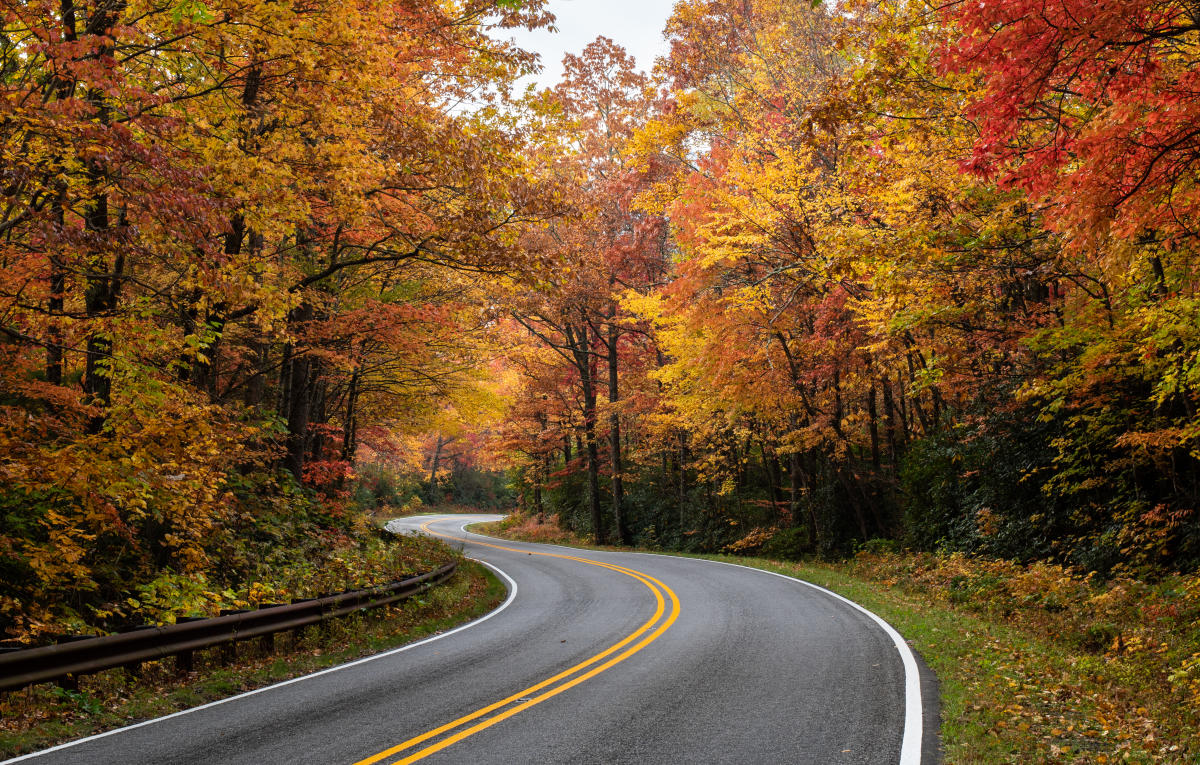 Asheville Fall Color Map Asheville 2021 Fall Color Report & Forecast | Scenic Views | Asheville, Nc's  Official Travel Site