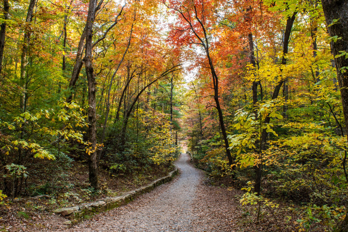 Great Tours for Fall in Asheville, NC