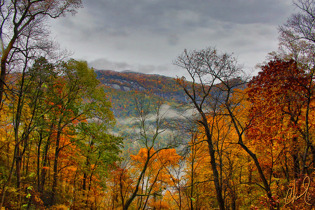 Fall Color Report for November 5, 2015