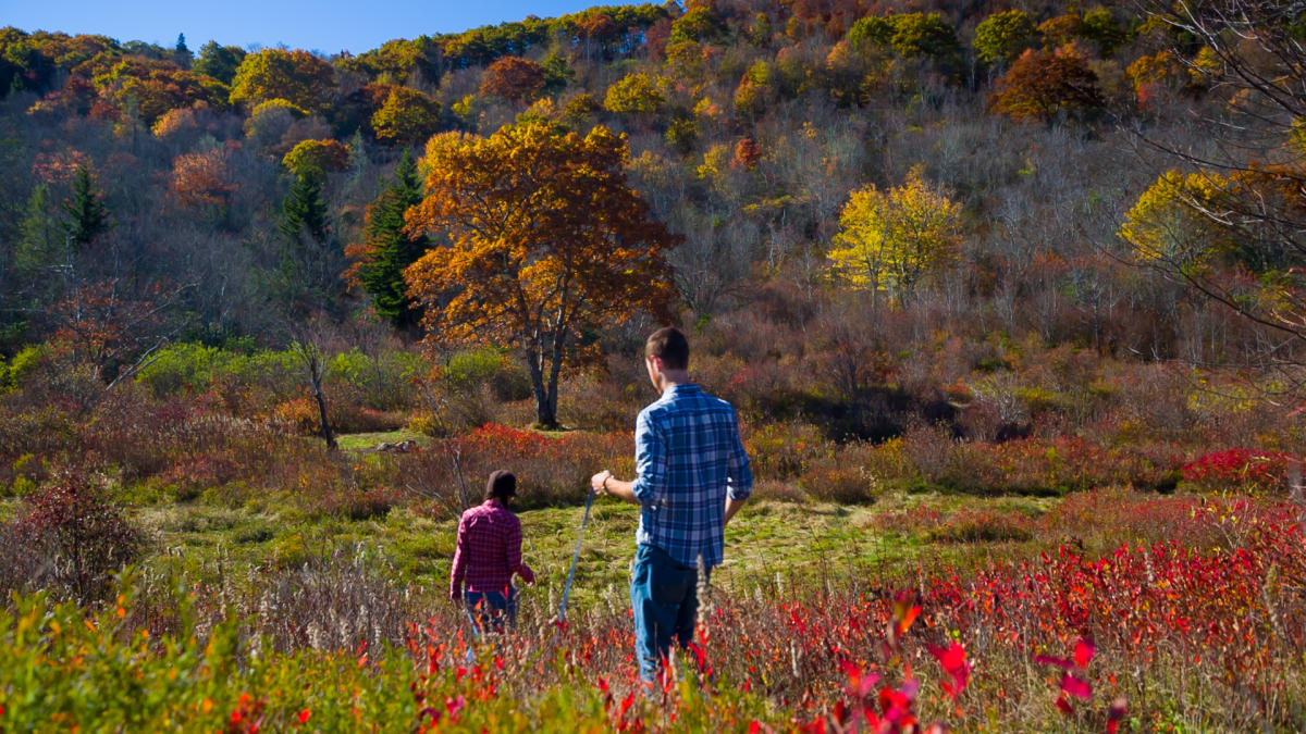 Graveyard fields camping hot sale