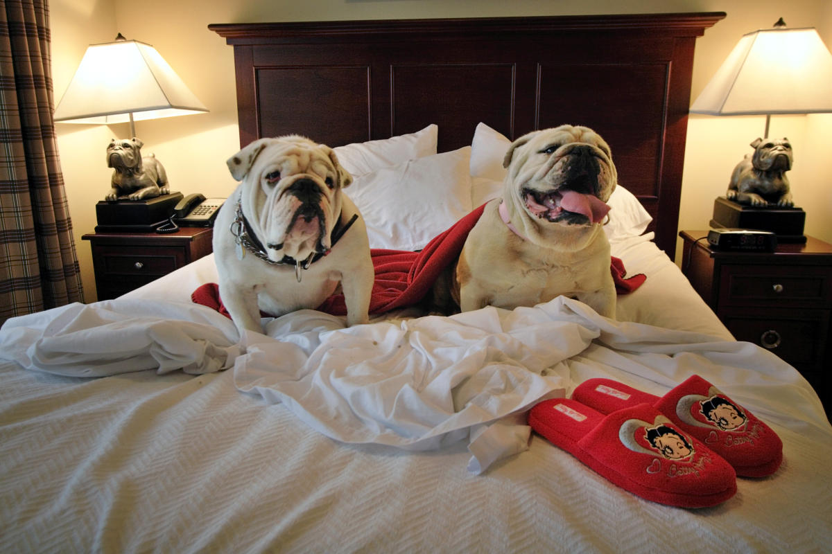 Campgrounds & RV Parks in Athens GA Athens Convention & Visitors Bureau