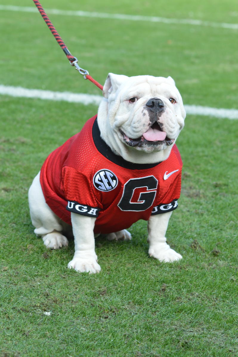 UGA Football In Athens Bulldogs Events