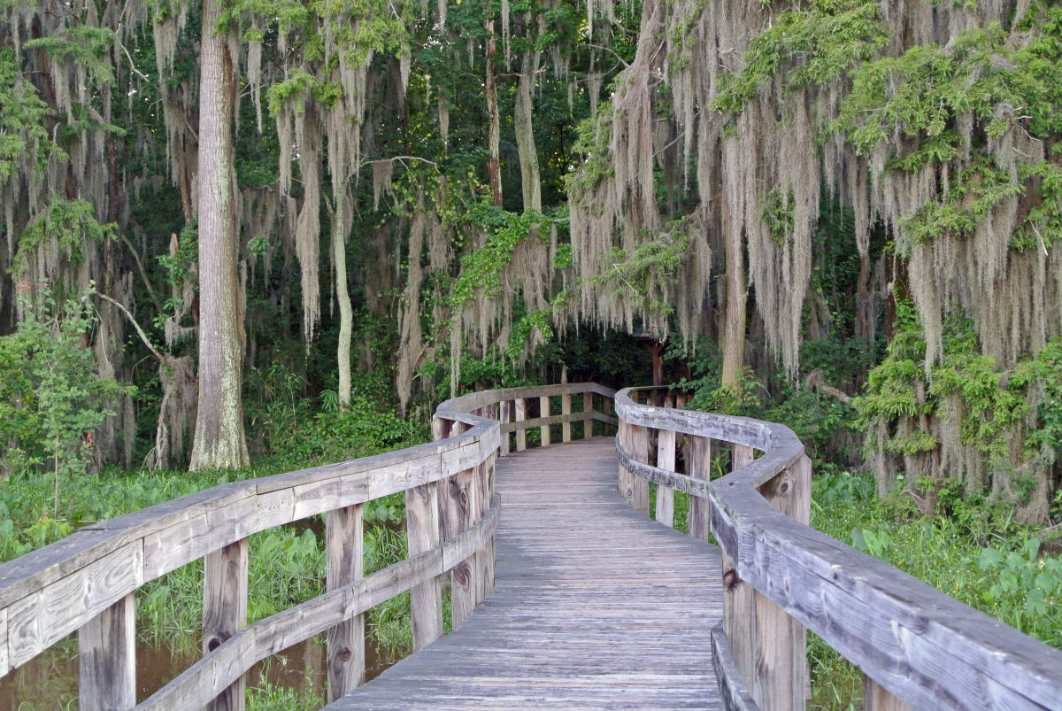 Trails in Augusta GA F.A.T.S Bike Trail