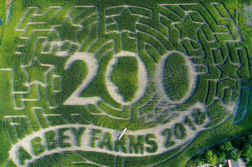 Grow Family Memories at Abbey Farms in Aurora, Illinois