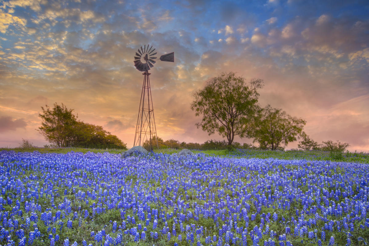 The Complete Austin Tx Spring Bucket List Austin