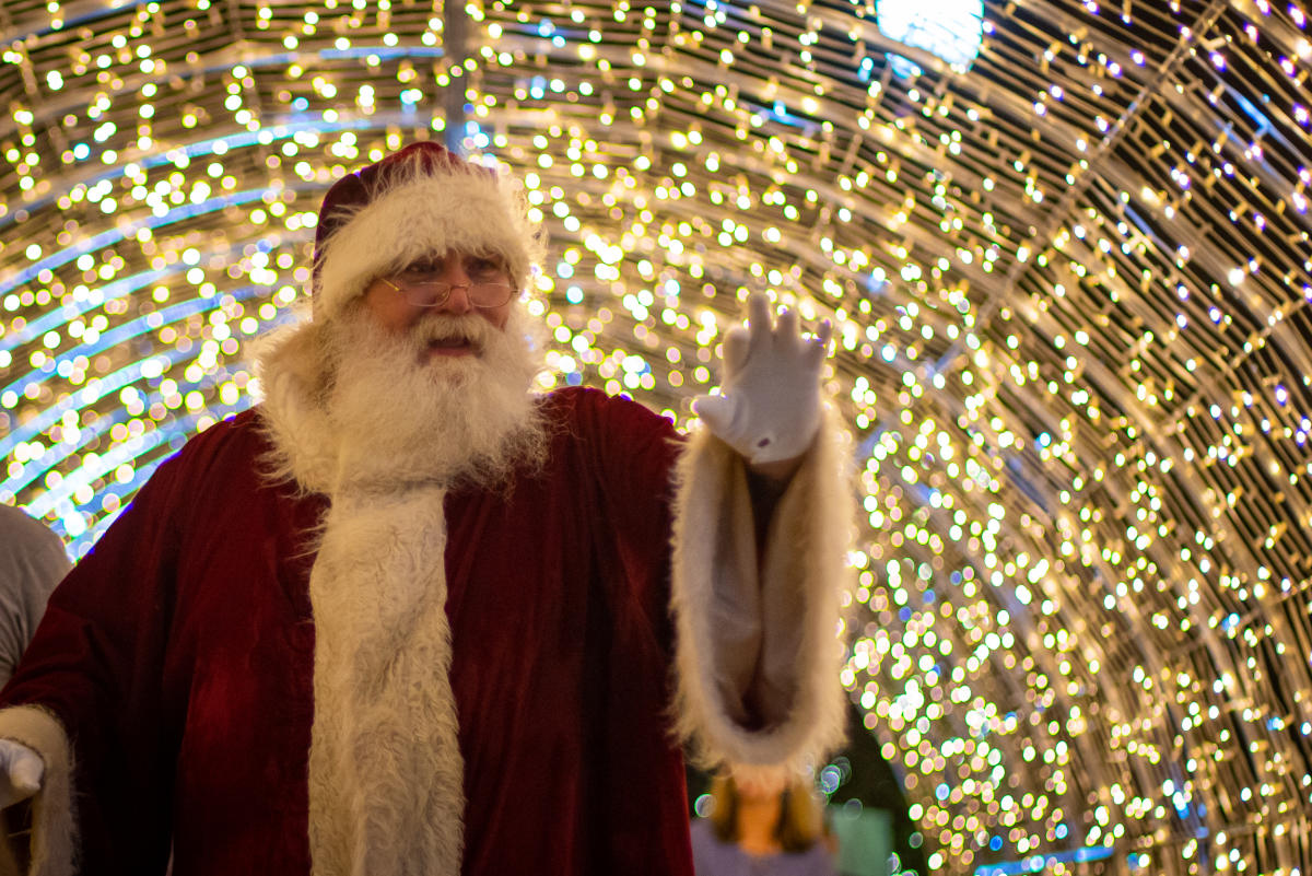 Bastrop Annual Christmas Tree Lighting | Kick Off the Holiday Season in ...