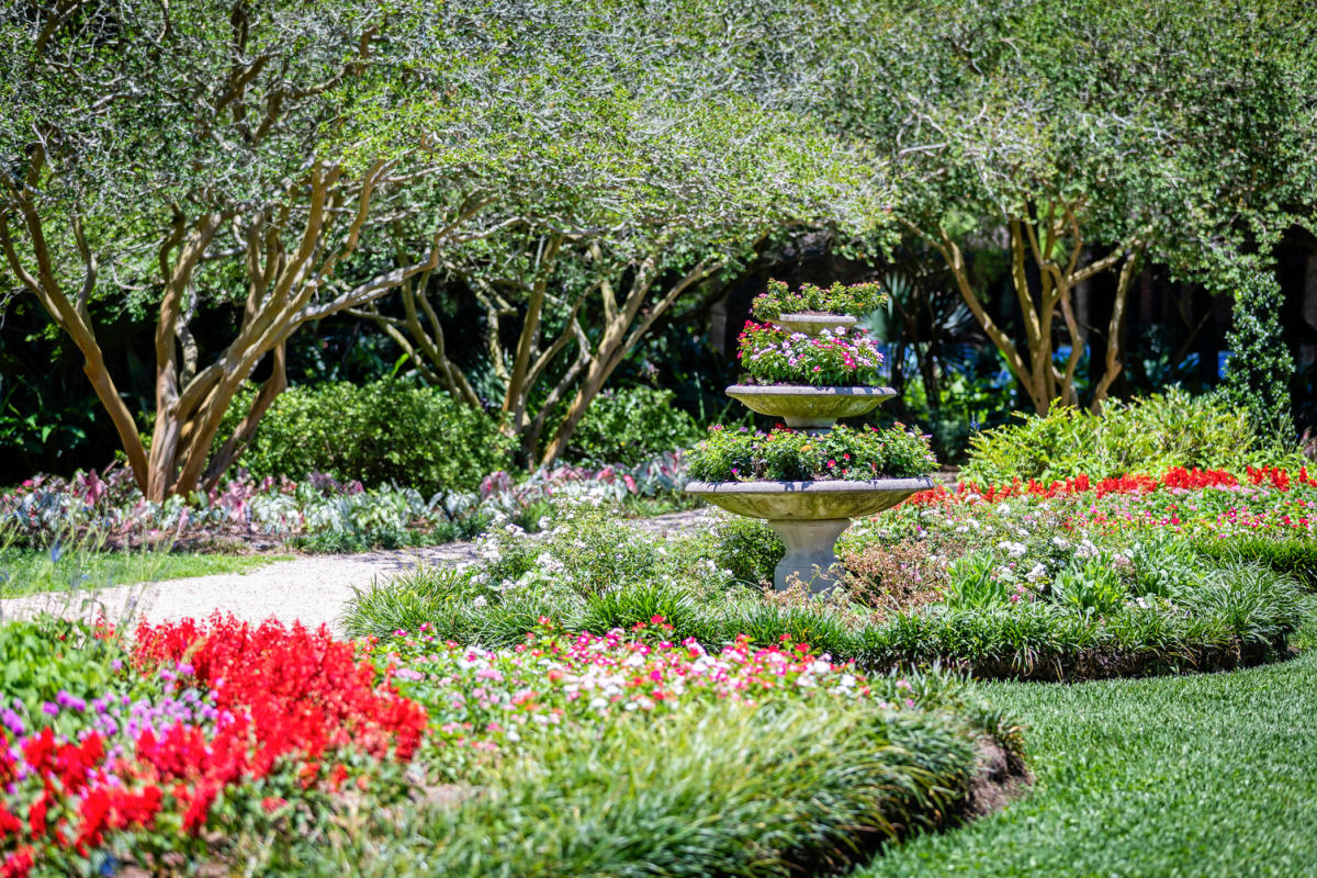 Immersed in Nature: Gardens of Baton Rouge