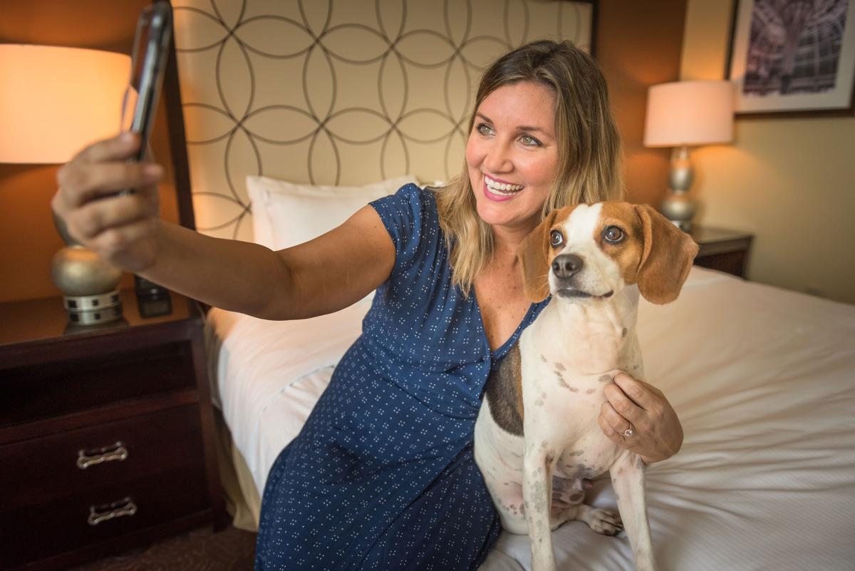 High-Quality Baton Rouge Dog Friendly Hotels Photo for Your Screen