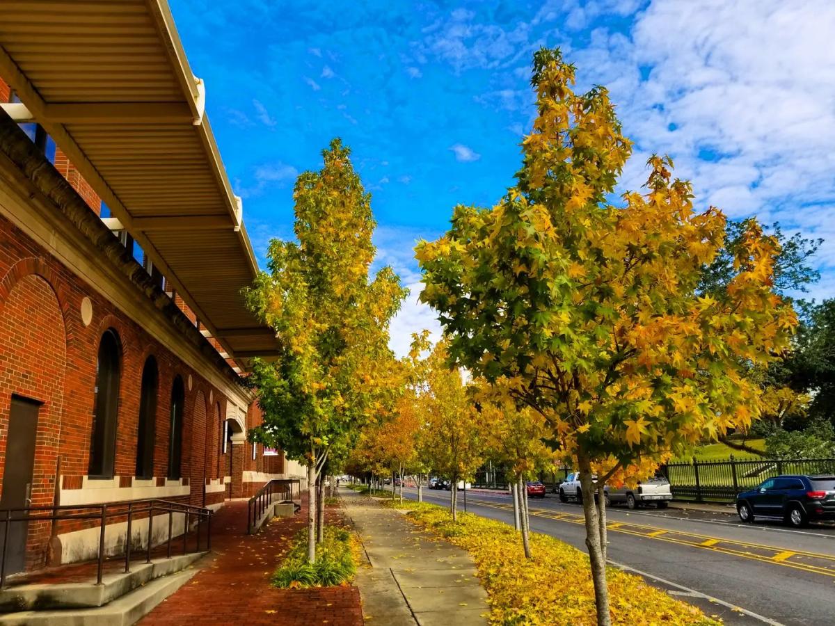 Things to Do in Baton Rouge this November