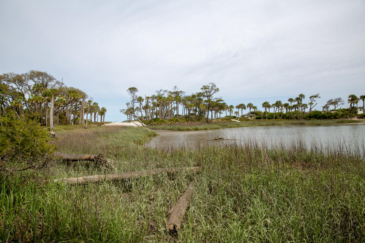 Significant Movie Locations in Beaufort, SC Visit Beaufort