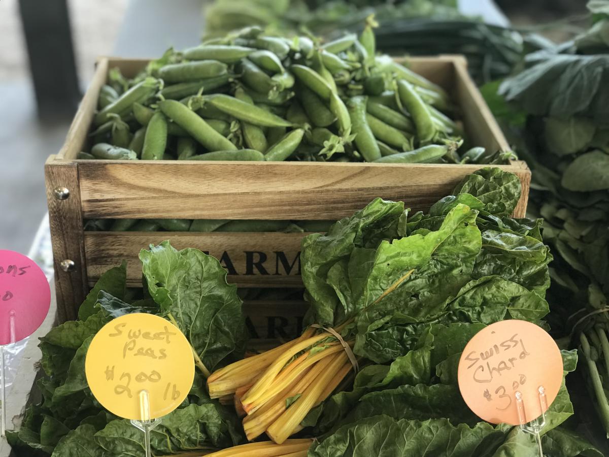 Texas Agritourism Farms & Markets to Visit in Beaumont, TX