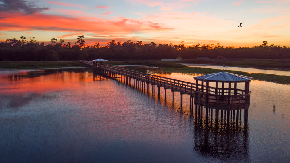 Cattail Marsh Scenic Wetlands Boardwalk Now Open Beaumont, TX