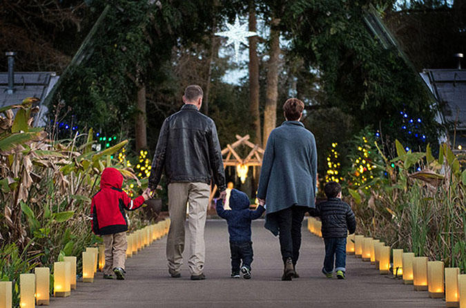 Where To See Holiday Lights In Southeast Texas