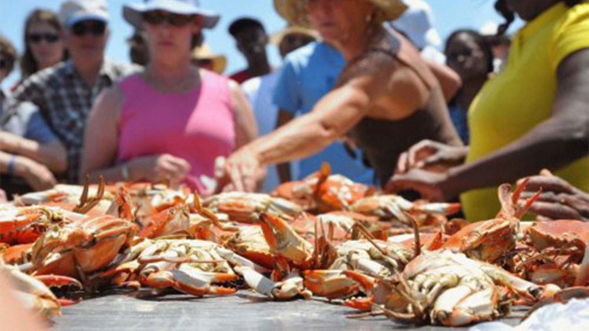 Texas Crab Festival Crystal Beach Food, Live Music & 5k Run
