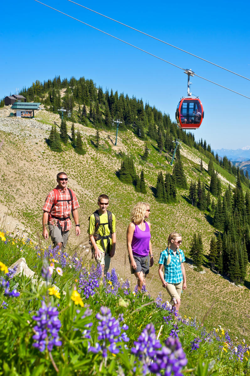 9 Fun and Unique Team Building Experiences in Bellevue