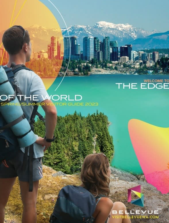 Bellevue, Washington visual data 8