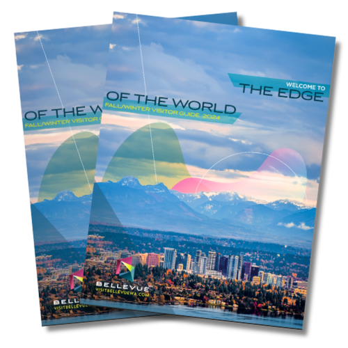 Bellevue, Washington visual data 7