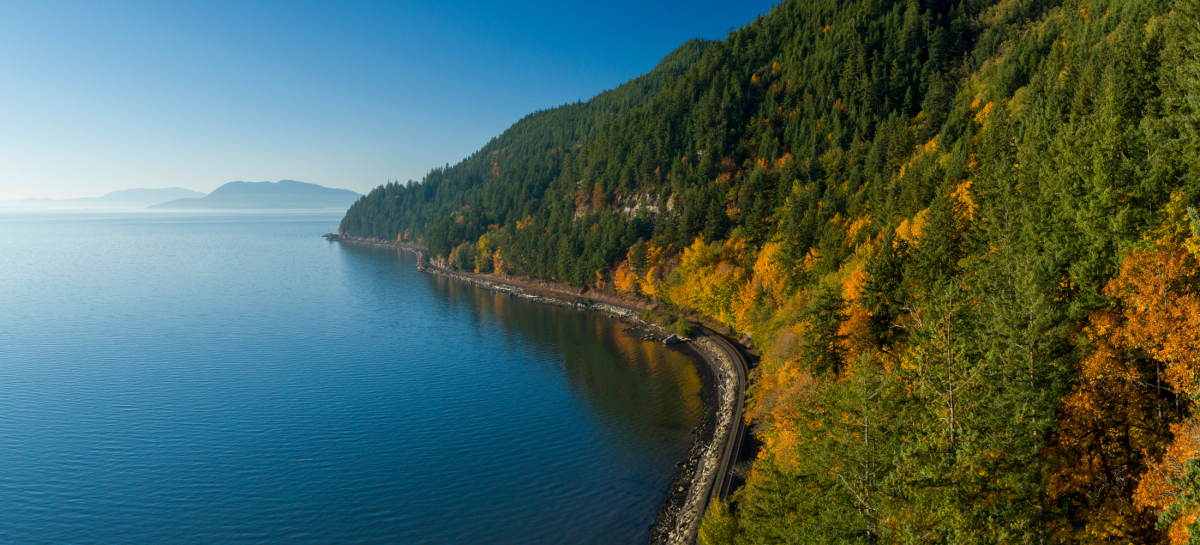Fall Colors Near Bellevue, WA Hikes & Scenic Drives