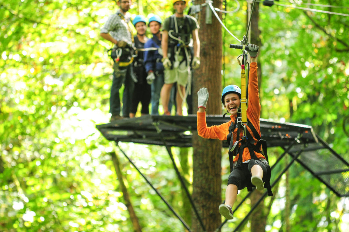 Bellevue Attractions Things To Do In Bellevue Wa