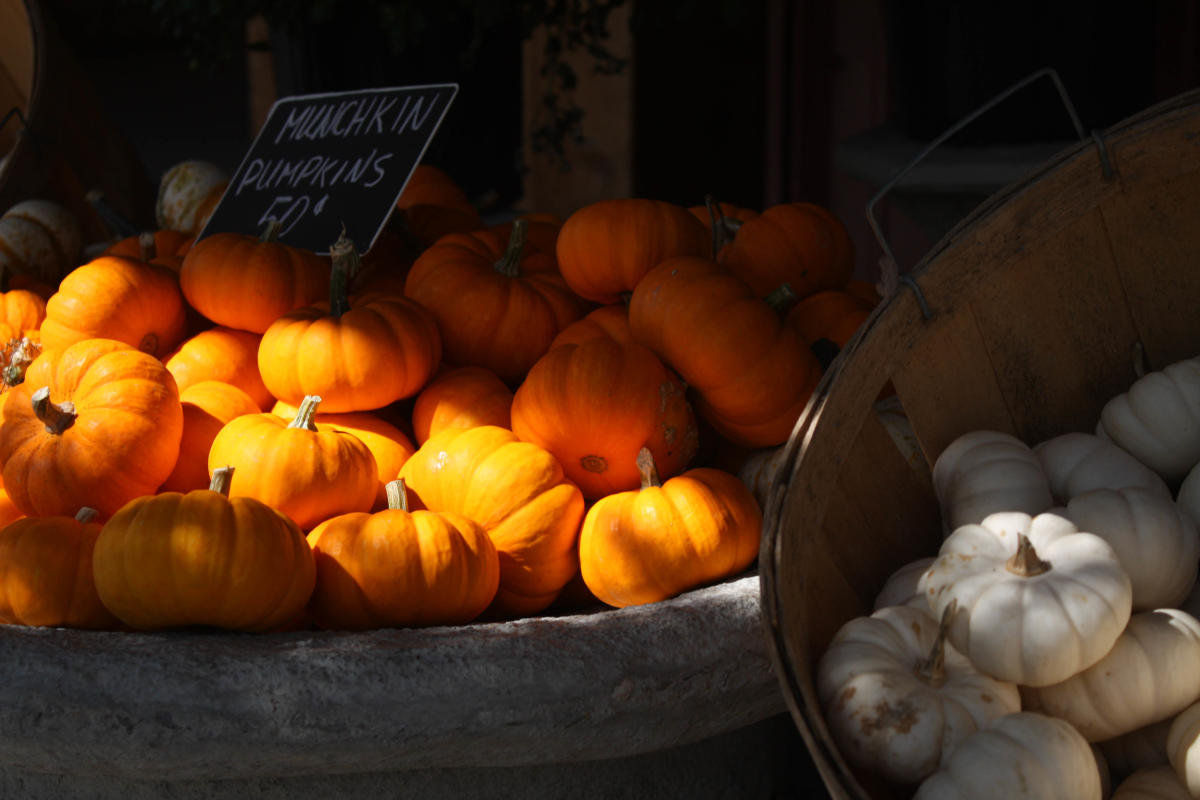 What to do in Bowling Green in the Fall