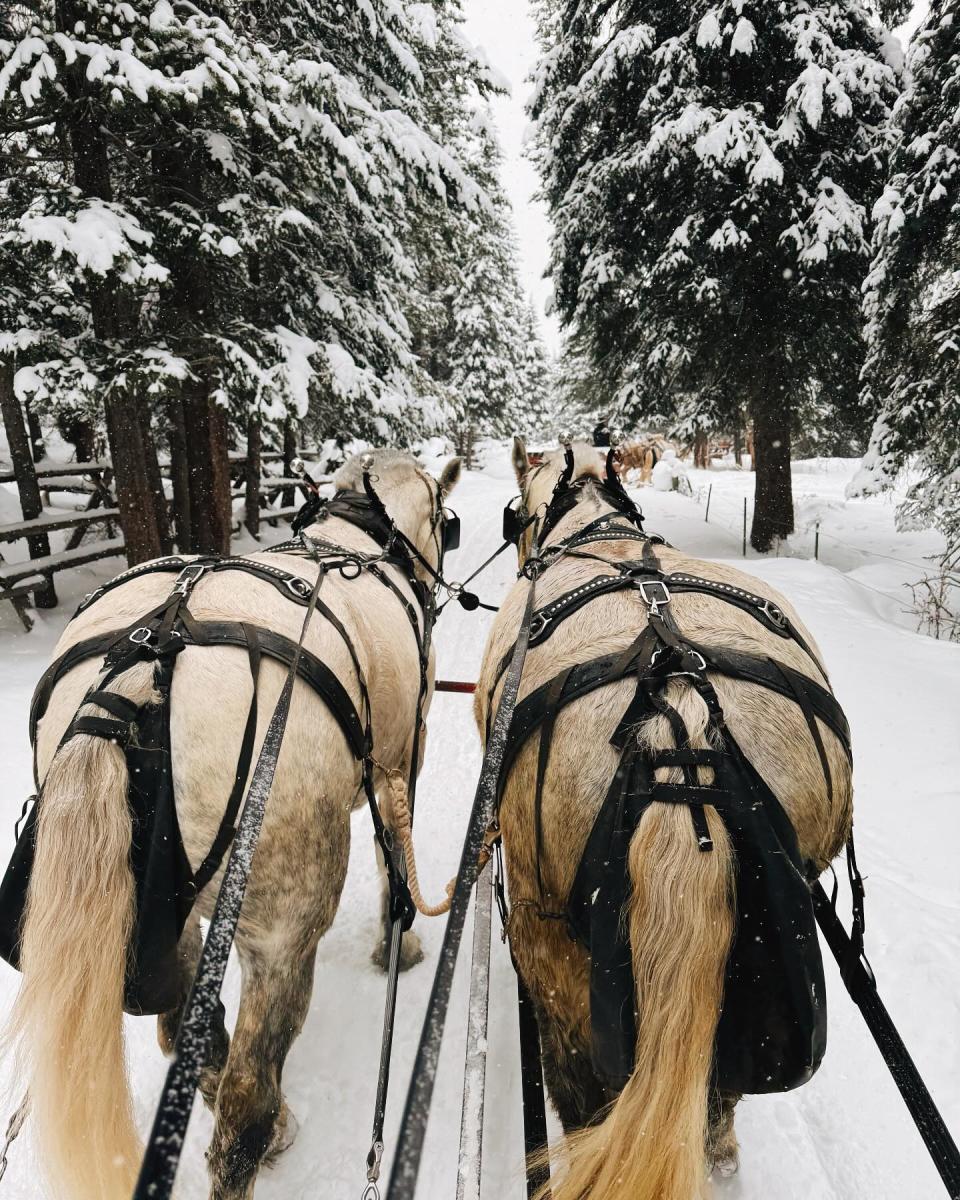 Sleigh Rides | Visit Big Sky