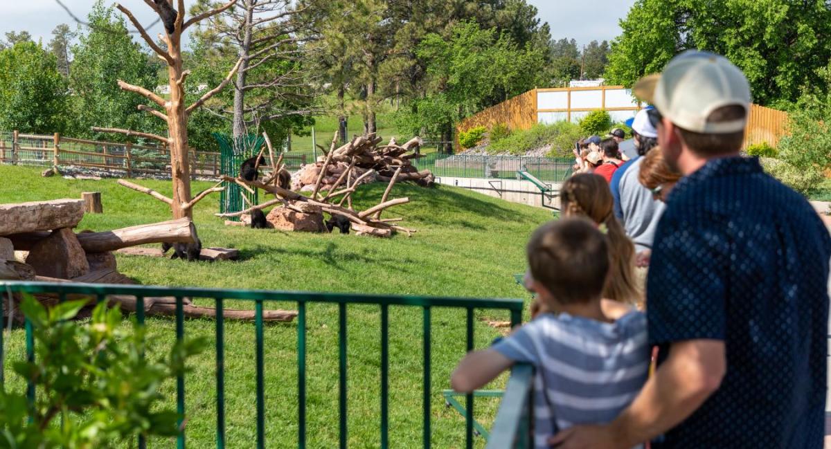Attractions & Family Fun | The Black Hills and Badlands of South ...