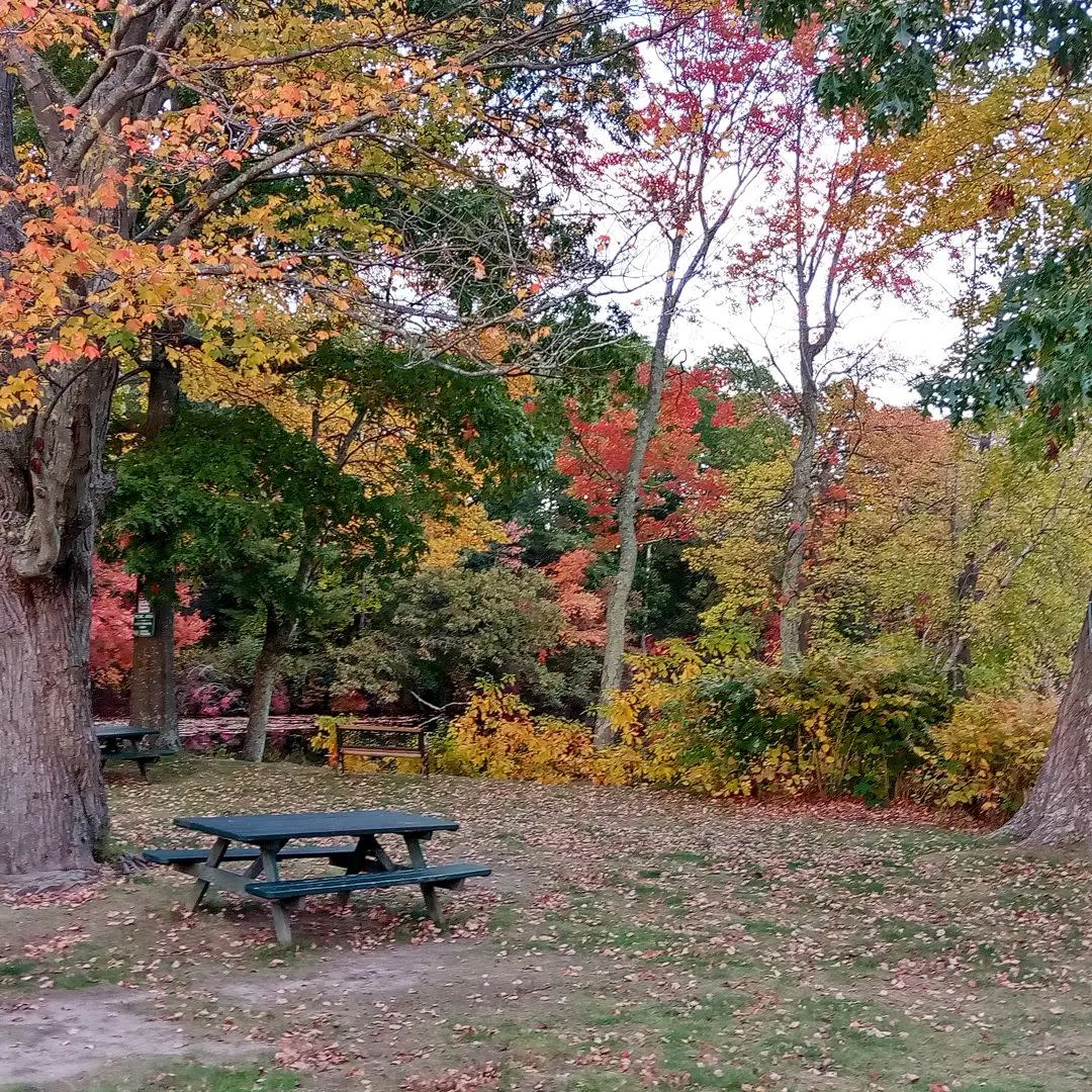 Fall Scape Program Make plans for your Fall getaway